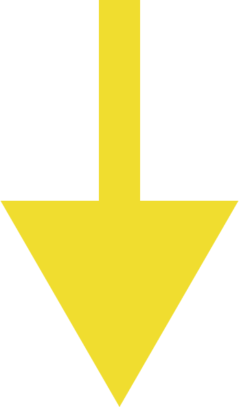 seta